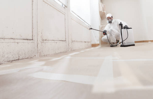 24/7 Emergency Mold Testing experts in Springfield, MI
