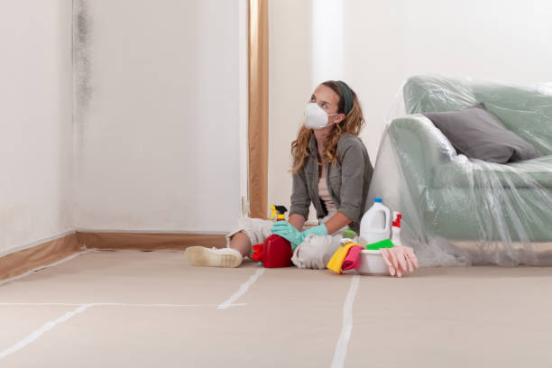 Reliable Mold Testing contractor in Springfield, MI by WQB Mold Removal